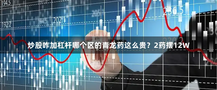 炒股咋加杠杆哪个区的青龙药这么贵？2药摆12W